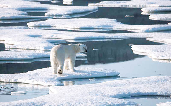 Ambiente - Polo Nord a rischio scomparsa entro l'anno